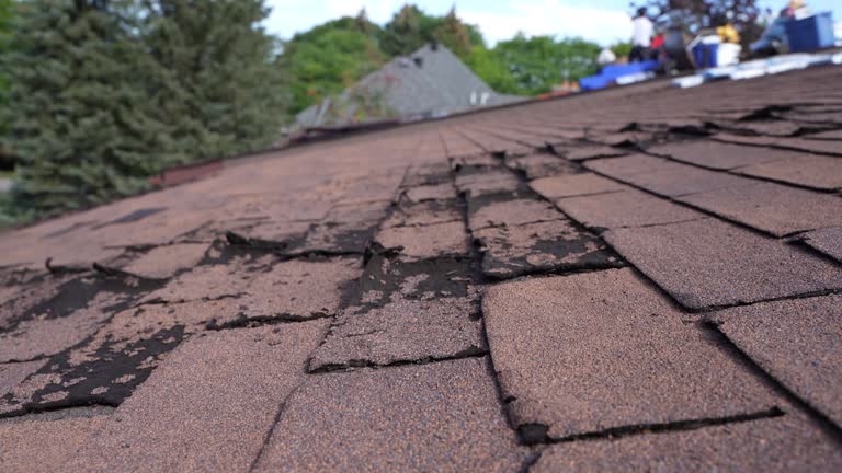 Best Roof Insulation Installation  in Spearville, KS